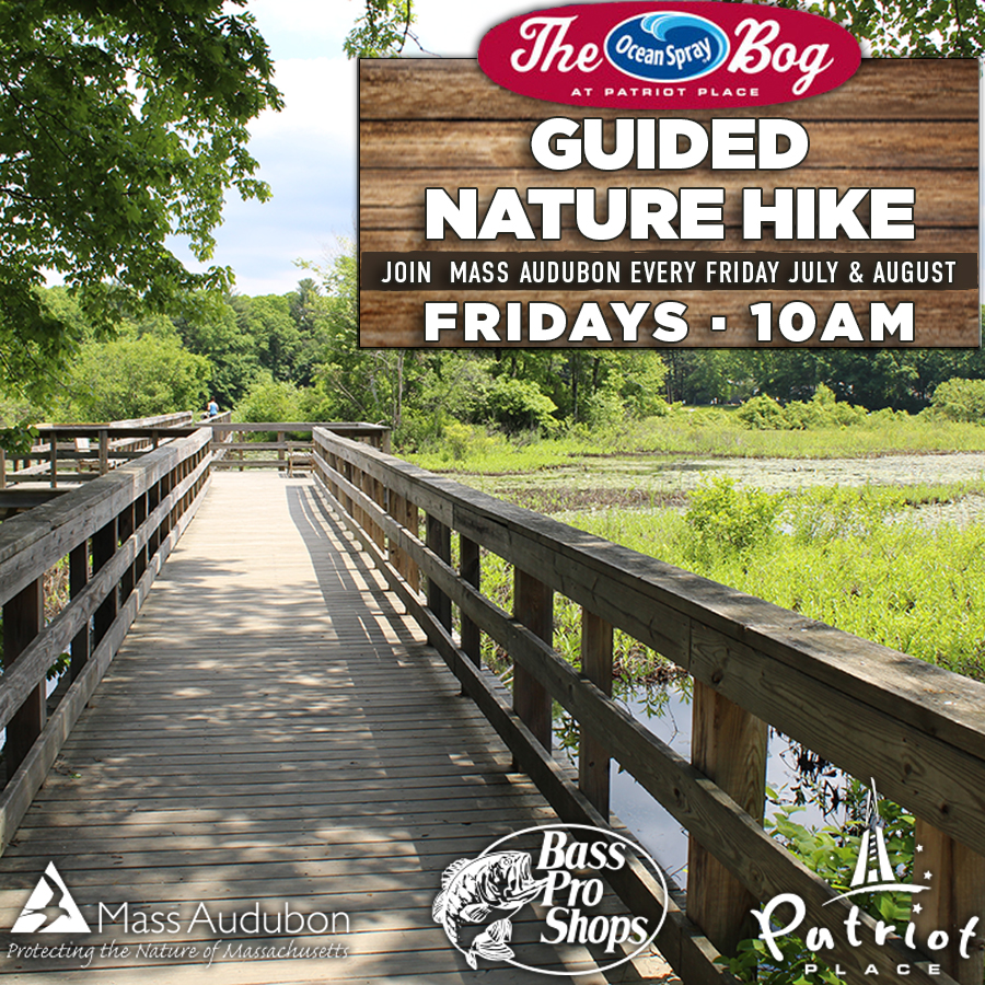 Audobon Guided Nature Hike