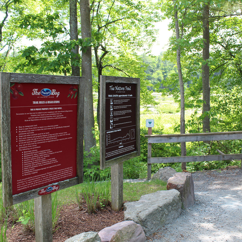 The Nature Trail and Ocean Spray Cranberry Bog Patriot Place