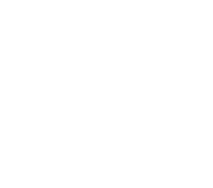 Patriot Place white logo
