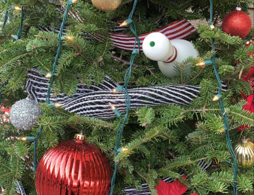 PATRIOT PLACE ANNOUNCES SOCIALLY DISTANCED  FESTIVAL OF TREES HOLIDAY STROLL