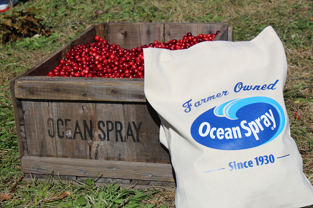 Ocean Spray Cranberry Harvest