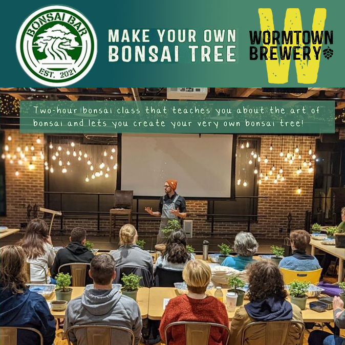 Wormtown Brewery Bonsai Bar