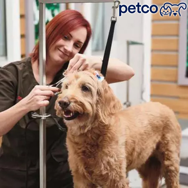 Petco Grooming Services