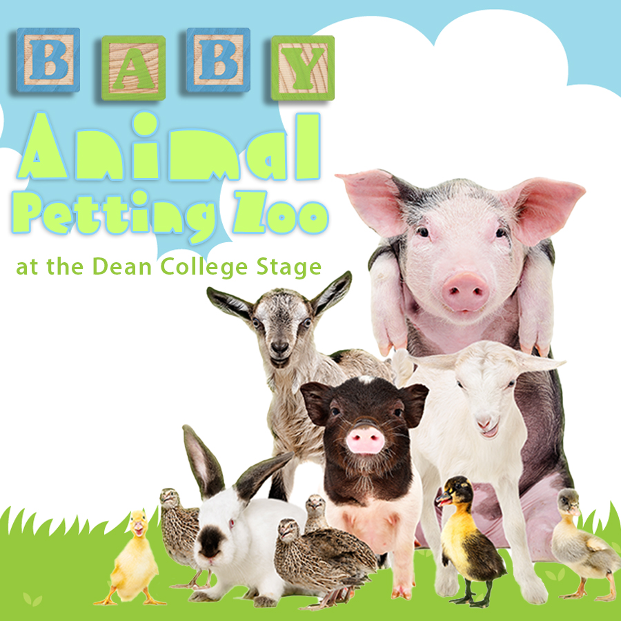 Baby Animal Petting Zoo