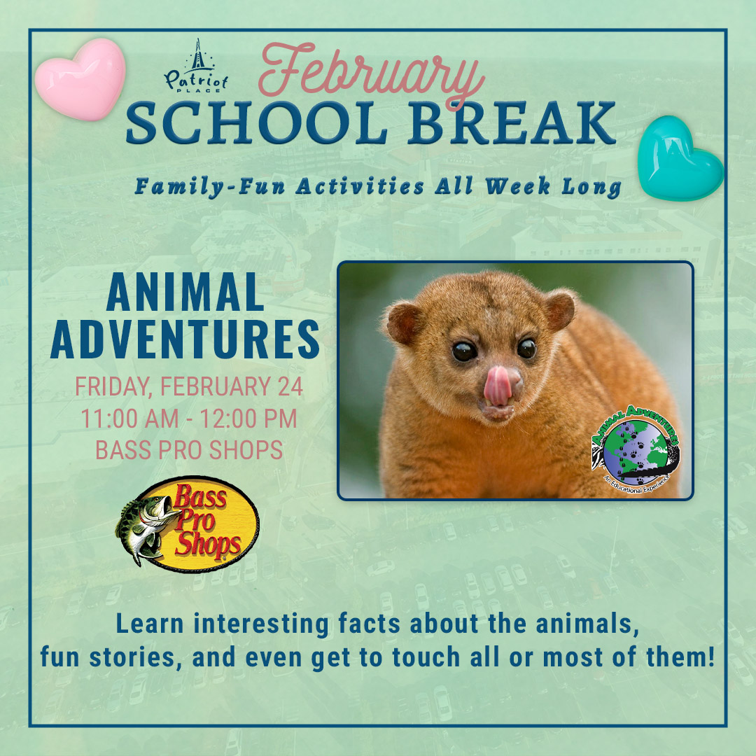 February Break Animal Adventures