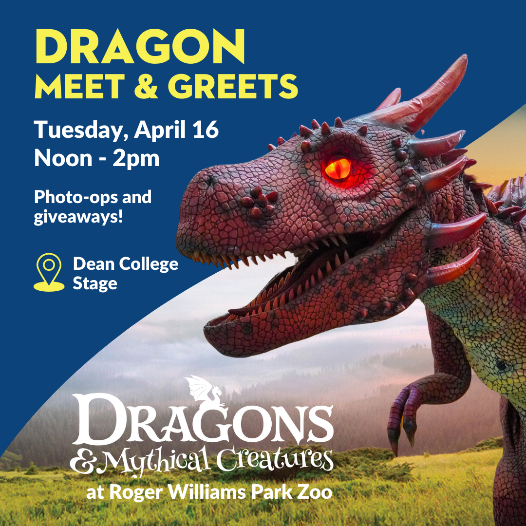 Dragon Meet & Greets