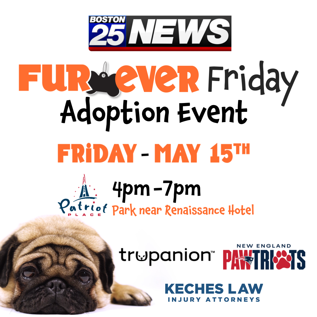 FurEver Friday 2026