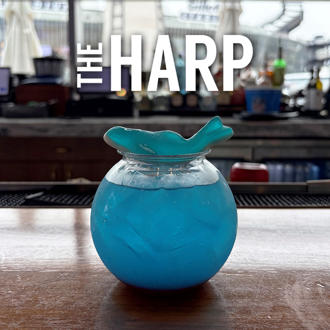 The Harp Shark Drink
