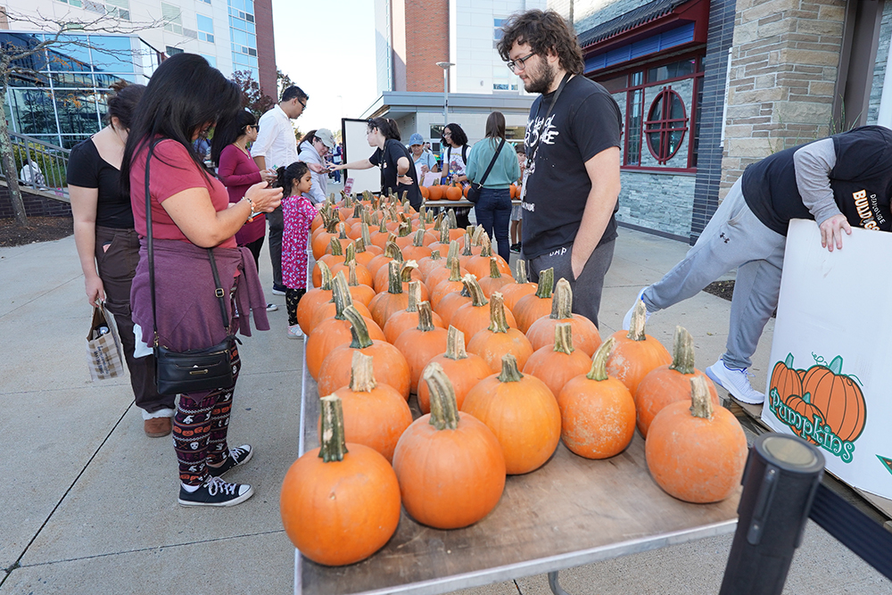 Fall Harvest pumpkin decorating table
